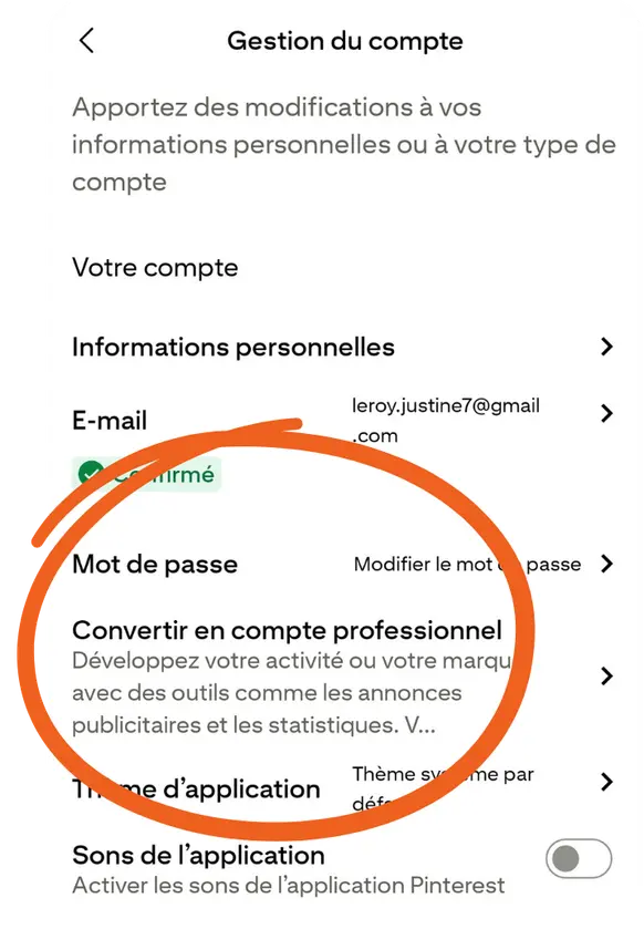 tuto-pinterest-convertir-compte-perso-en-pro